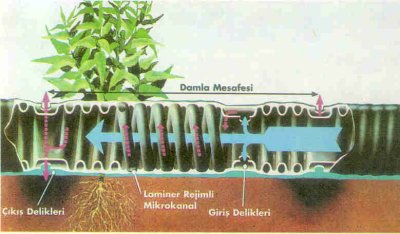 Damla sulama sisteminin kalbi lateraller üzerine yerleştirilen damlatıcılardır.